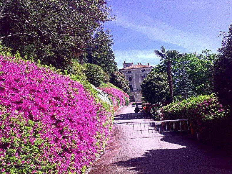 Apartamento Gioia Oggebio Exterior foto